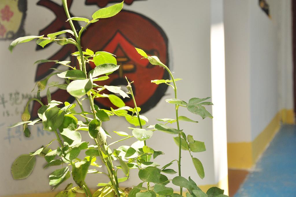 Xi'An Maoshe Youth Hostel エクステリア 写真